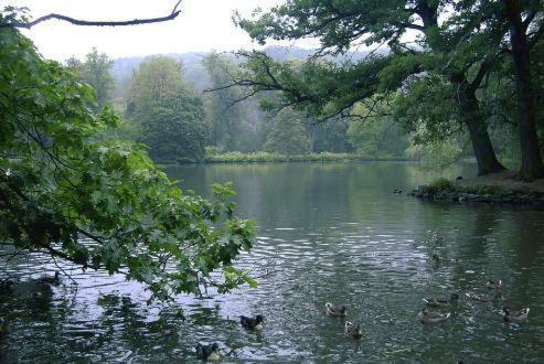 Ferienwohnung Und Pension Guertler Mohlsdorf Esterno foto
